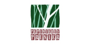 06-pepinieres-prunier